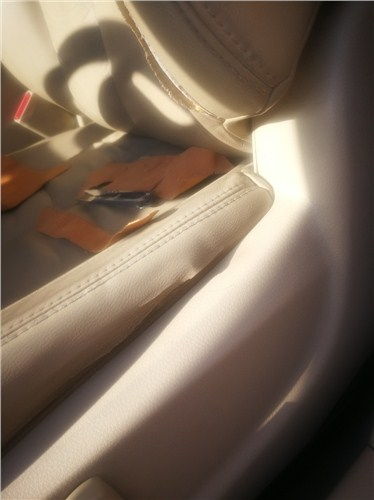 崇明區(qū)專業(yè)皮衣皮具修補(bǔ)與針紡織品護(hù)理技術(shù)