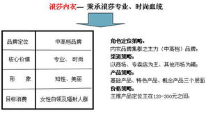 中國浪莎紅 浪莎內(nèi)裝戰(zhàn)略營(yíng)銷策劃與企業(yè)形象策劃方案